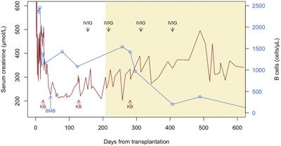 Case report: Bruton tyrosine kinase inhibitor as therapy for chronic lymphocytic leukemia infiltrating a kidney allograft